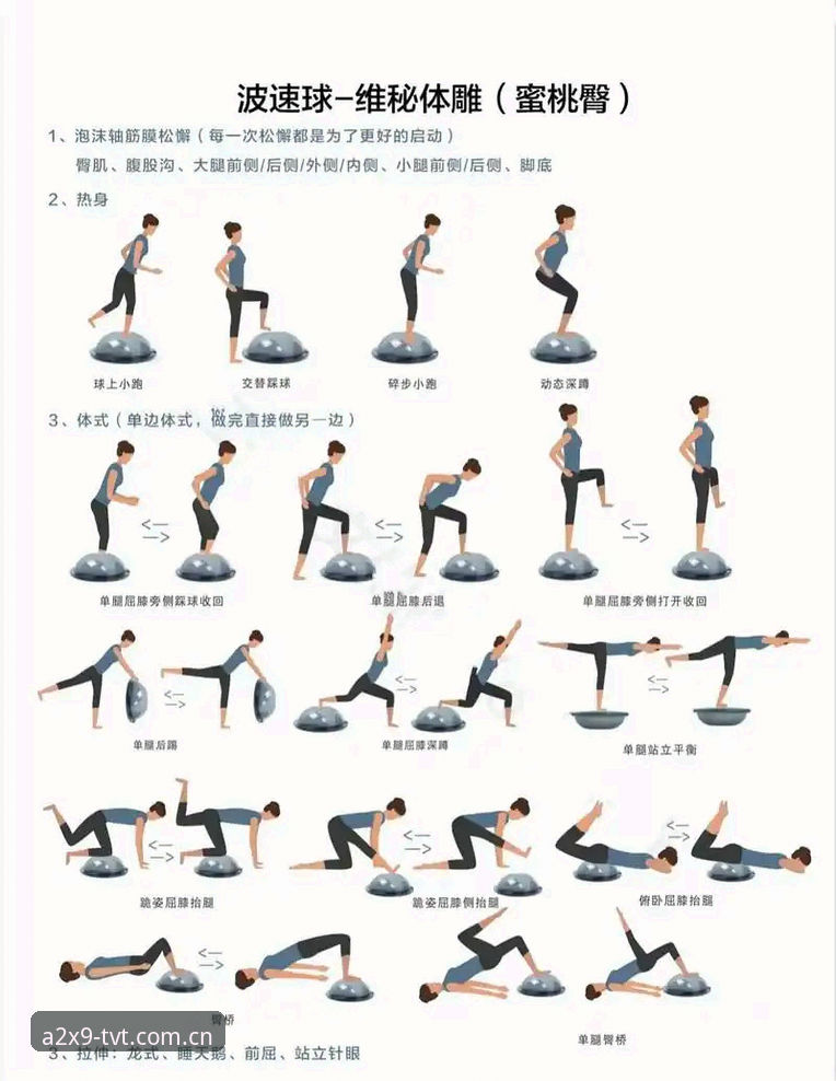 TVT体育平台实用指南：从入门到精通的必备知识